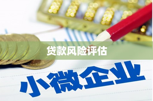 怒江贷款风险评估