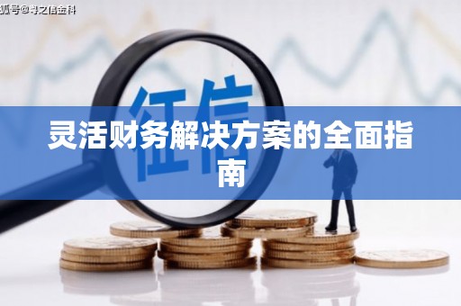怒江灵活财务解决方案的全面指南