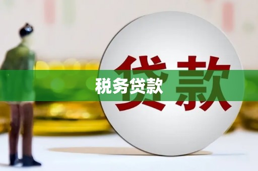 怒江税务贷款