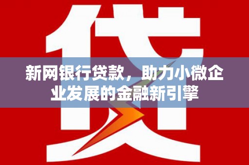 怒江新网银行贷款，助力小微企业发展的金融新引擎