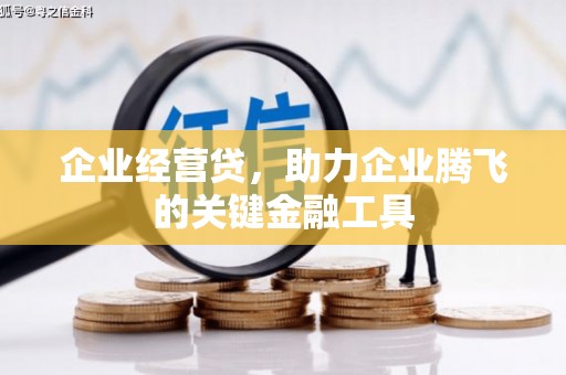 怒江企业经营贷，助力企业腾飞的关键金融工具