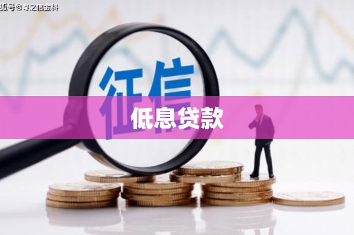 怒江低息贷款