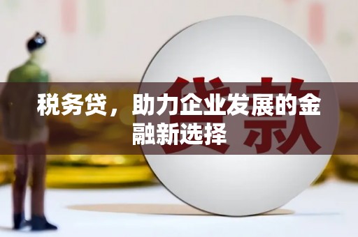 怒江税务贷，助力企业发展的金融新选择