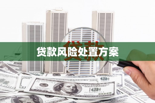 怒江贷款风险处置方案