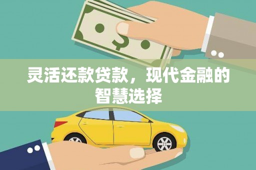 怒江灵活还款贷款，现代金融的智慧选择