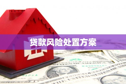怒江贷款风险处置方案