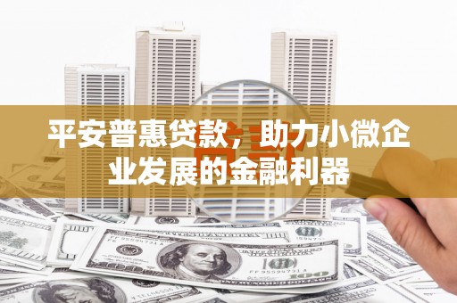 怒江平安普惠贷款，助力小微企业发展的金融利器