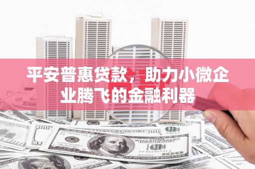 怒江平安普惠贷款，助力小微企业腾飞的金融利器