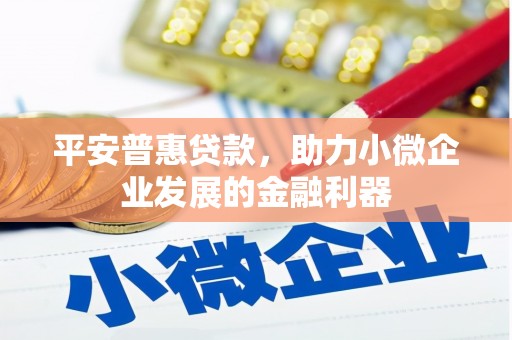 怒江平安普惠贷款，助力小微企业发展的金融利器