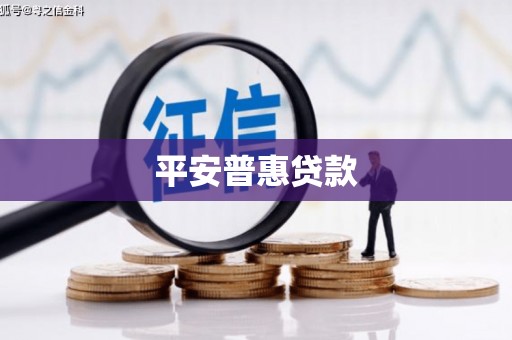 怒江平安普惠贷款