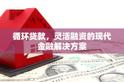 怒江循环贷款，灵活融资的现代金融解决方案