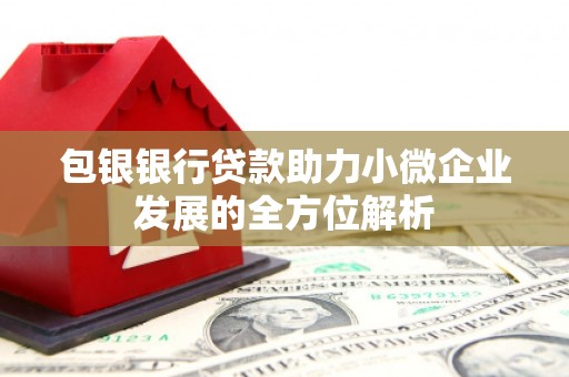 怒江包银银行贷款助力小微企业发展的全方位解析