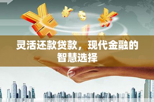 怒江灵活还款贷款，现代金融的智慧选择