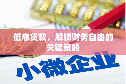 怒江低息贷款，解锁财务自由的关键策略