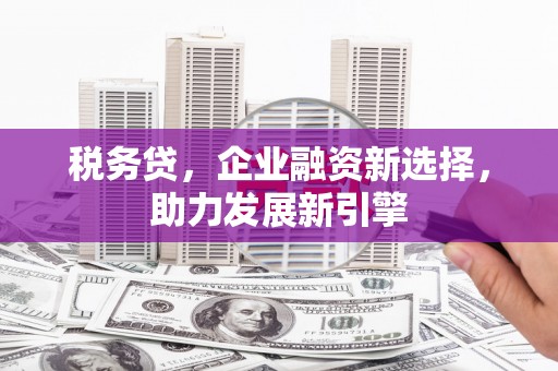 怒江税务贷，企业融资新选择，助力发展新引擎