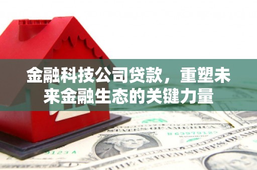 怒江金融科技公司贷款，重塑未来金融生态的关键力量