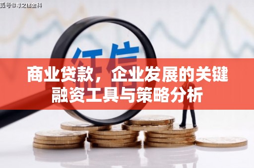 怒江商业贷款，企业发展的关键融资工具与策略分析