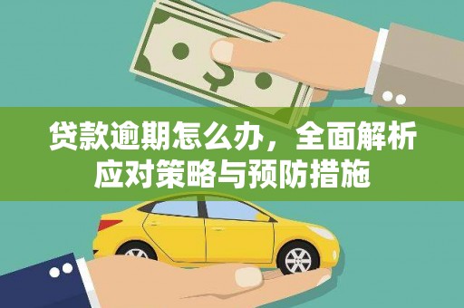 怒江贷款逾期怎么办，全面解析应对策略与预防措施