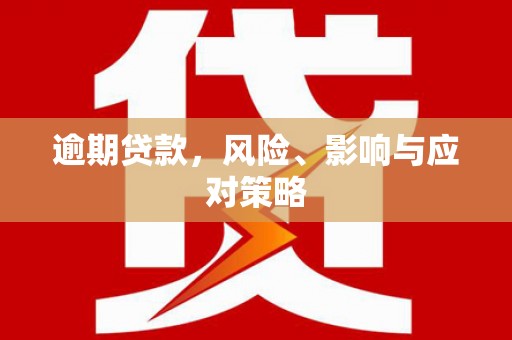 怒江逾期贷款，风险、影响与应对策略