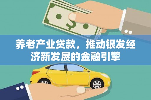 怒江养老产业贷款，推动银发经济新发展的金融引擎