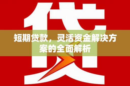 怒江短期贷款，灵活资金解决方案的全面解析