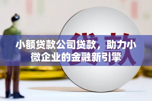 怒江小额贷款公司贷款，助力小微企业的金融新引擎