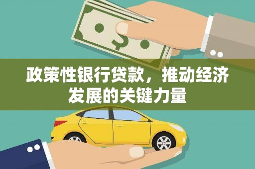 怒江政策性银行贷款，推动经济发展的关键力量