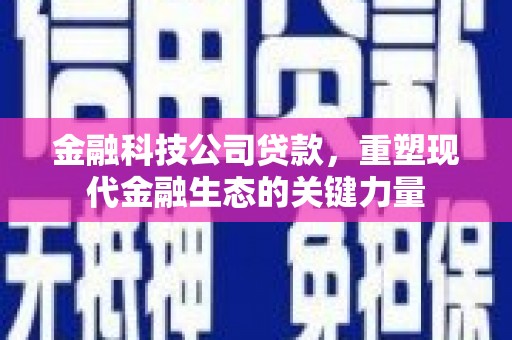 怒江金融科技公司贷款，重塑现代金融生态的关键力量