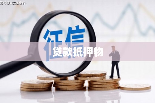 怒江贷款抵押物