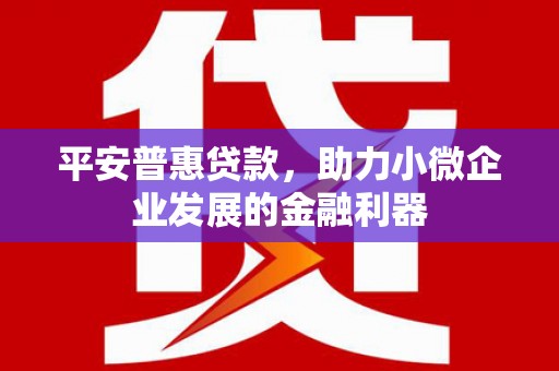 怒江平安普惠贷款，助力小微企业发展的金融利器