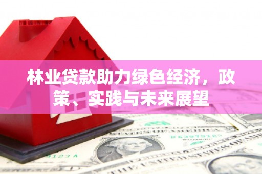 怒江林业贷款助力绿色经济，政策、实践与未来展望