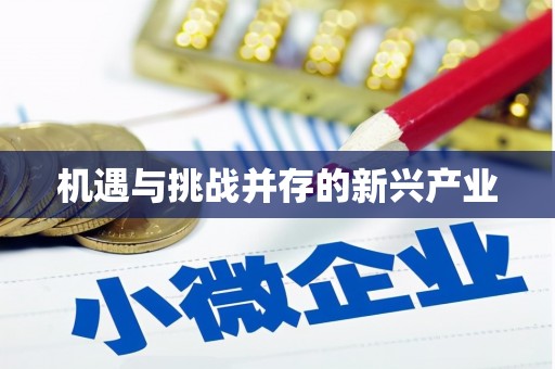 怒江机遇与挑战并存的新兴产业
